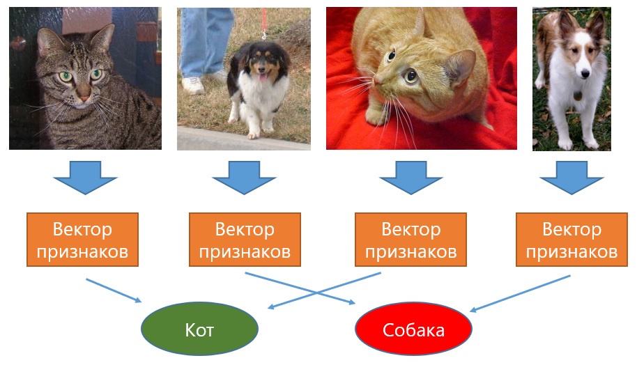 Анализ векторов, извлеченных из изображений