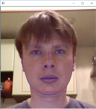 Фотография с web-камеры с выделенным лицом